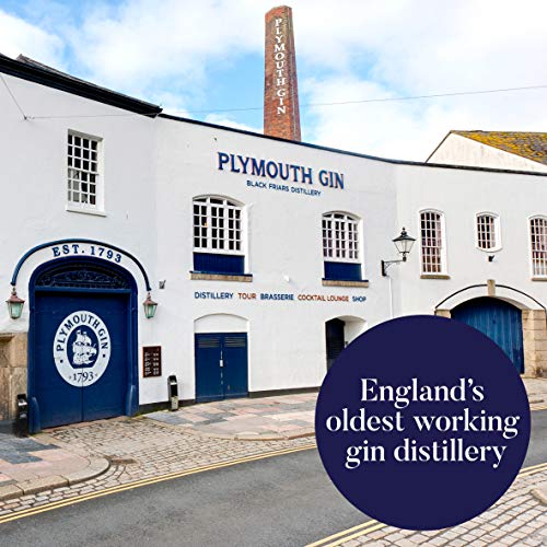Plymouth Sloe Ginebra - 700 ml
