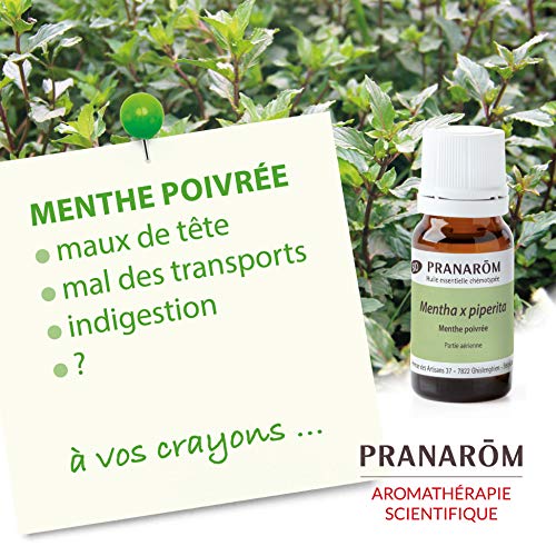 Pranarom Aceite Esencial Menta Piperita Bio - 10 ml