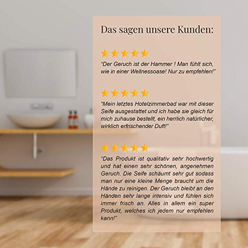 Prija Jabón líquido con ginseng con práctico dispensador, 4 x 380 ml jabón natural vegano para uso diario