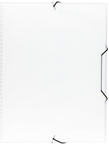 Pryse 4240051 - Carpeta espiral con 50 fundas, A4, transparente