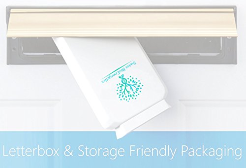 Pure Wild Saw Palmetto - Suplemento alimenticio producido exclusivamente a partir de bayas silvestres puras con extracción de alta presión para una retención máxima de nutrientes, 2500 mg 90 Cápsulas