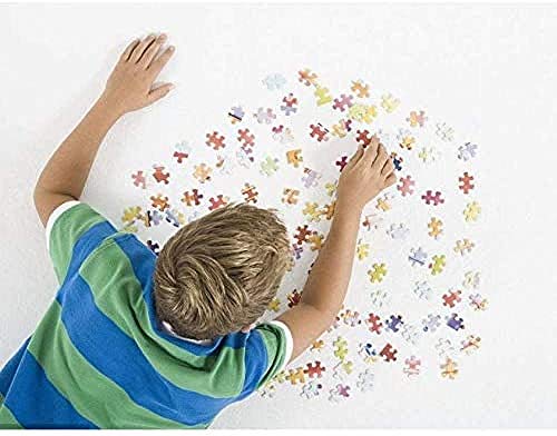 PUZZLE de 1000 piezas para adultos, rompecabezas familiar, rompecabezas de cartón, juegos educativos, rompecabezas para niños, niños Ciudad de México 70 * 50cm