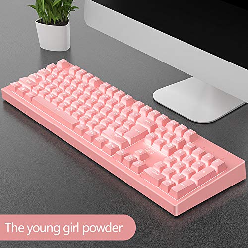QOUP Gaming Keyboard mecánica, Wired Keyboard 104 Teclas 26 Teclas No Hay conflicto PBT mecánica sensación de Juego USB para Juegos y mecanografía,Rosado