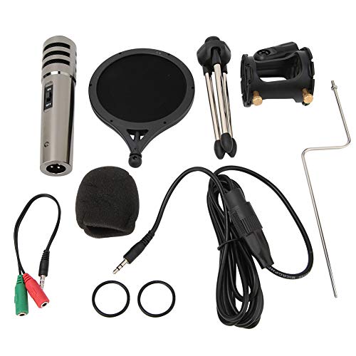 Queen.Y 3.Micrófono de Condensador de Radiodifusión de Estudio de Sonido de 5 Mm con Soporte Conjunto de Red Anti-Spray Micrófono de Grabación Ajustable Suspensión Soporte de Brazo de