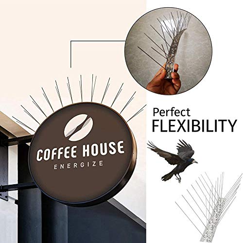 QUUY Bird Spikes, Juego de Discos repelentes de Aves, Juego de Discos repelentes de Aves, Seguridad Anti-Escalada para muros de cercas, el Mejor Producto antifraqueo de Aves 50 cm