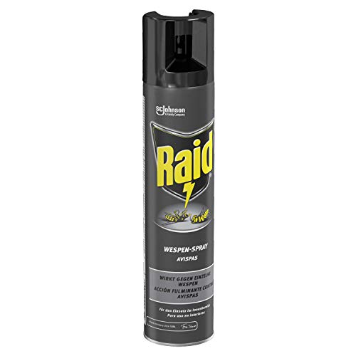 Raid - Insecticida para avispas en spray, acción fulminante, uso interior, aerosol 300 ml