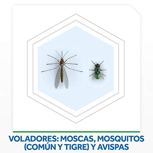 Raid Moscas y Mosquitos - Spray Insecticida, Frescor Natural, 600 ml - Pack de 3 (1800 ml)