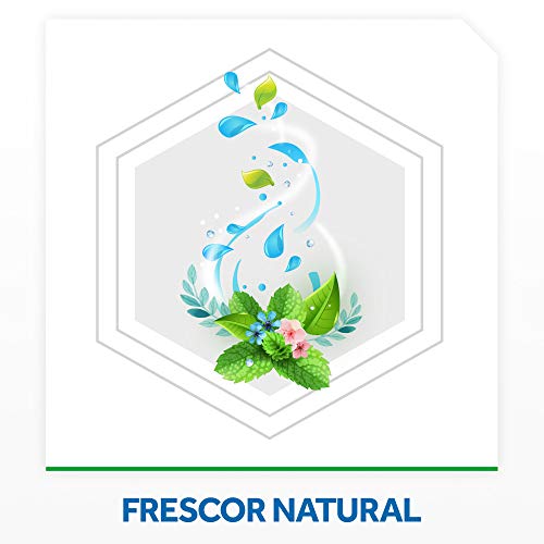 Raid Moscas y Mosquitos - Spray Insecticida, Frescor Natural, 600 ml - Pack de 3 (1800 ml)