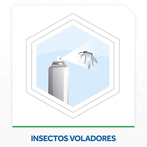 Raid Moscas y Mosquitos - Spray Insecticida, Frescor Natural, 600 ml - Pack de 3 (1800 ml)
