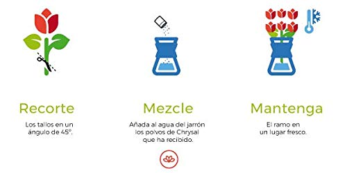 Ramo de flores naturales a domicilio variado Barcelona Style - Flores frescas - Envío a domicilio 24h GRATIS - Tarjeta dedicatoria incluida - Caja especial para ramos de flores naturales