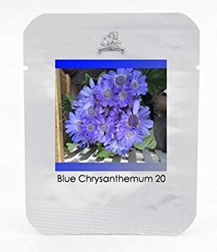 Rare Blue Chrysanthemum Mosquito Repelling Flower Seeds, Professional Pack, 20 Seeds/Pack, Light Fragrant Indoor Bonsai #NF772