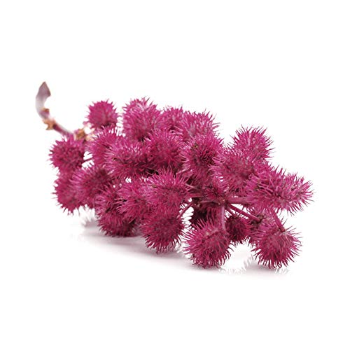 RICIGRAN PESTAÑAS 30 ml