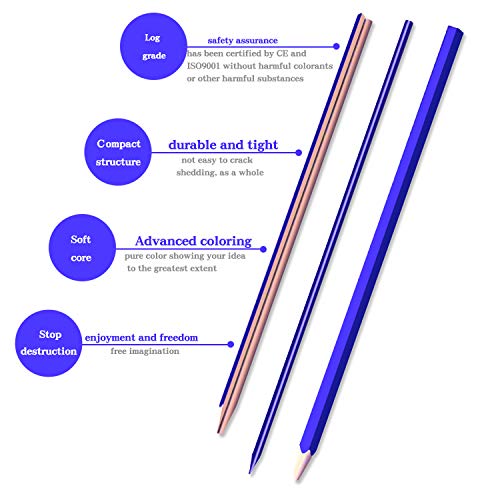 Rock Ninja 72 lápices de colores, incluidos estuche de viaje, sacapuntas, un regalo perfecto para niños, estudiantes, artistas y pintores, lápices de colores con base de aceite para vacaciones