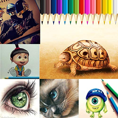 Rock Ninja 72 lápices de colores, incluidos estuche de viaje, sacapuntas, un regalo perfecto para niños, estudiantes, artistas y pintores, lápices de colores con base de aceite para vacaciones