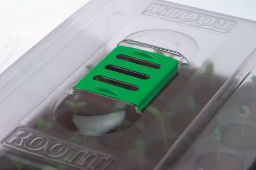 ROOT!T Kit de propagación de Esponja de Valor, 12-550-145