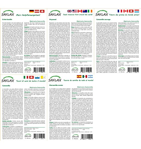 SAFLAX - Manzanilla común - 300 semillas - Matricaria chamomilla