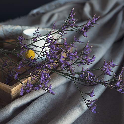 Sally Hansen Color Therapy - Esmalte de uñas (1 x 15 ml, 110 unidades), color blanco