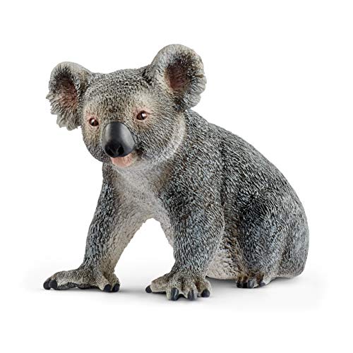 Schleich- Koala Macho (14815)