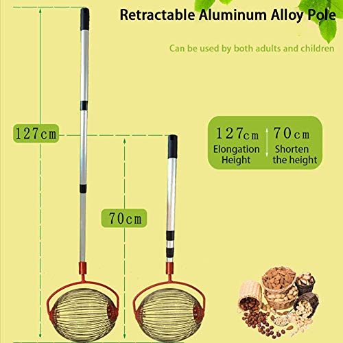SCJS Recolector de nueces Nueces Castañas Cosechadora Rodillo Recolector de nueces Bola de aleación de Aluminio retráctil Recolector de Frutas de jardín Herramienta de huertos Familiares Nuevo