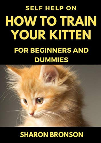 Self Help Guide on How to Train Your Kitten: For Beginners and Dummies (English Edition)