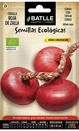 Semillas Ecológicas Hortícolas - Cebolla Roja de Zalla - ECO - Batlle