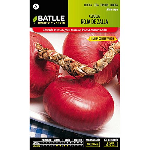 Semillas Hortícolas - Cebolla Roja de Zalla (tipo Niort) - Batlle