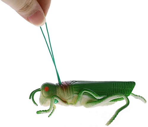 Serie de Halloween plástico Mini Insectos Locust Modelo figuras realistas de animales Juegos de construcción for la fiesta de Halloween for niños de Educación de insectos temática del partido DOISLL