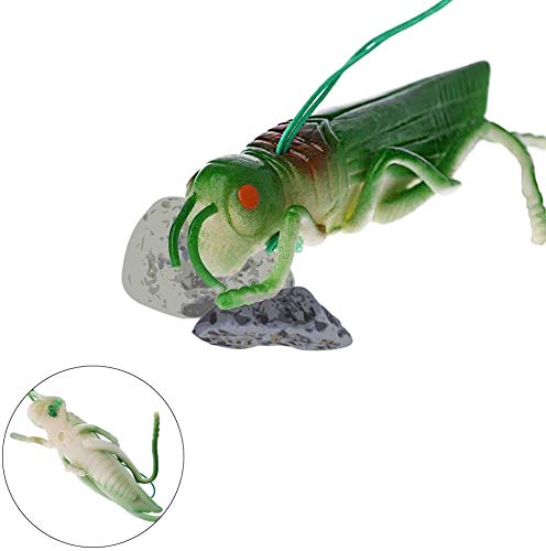 Serie de Halloween plástico Mini Insectos Locust Modelo figuras realistas de animales Juegos de construcción for la fiesta de Halloween for niños de Educación de insectos temática del partido DOISLL