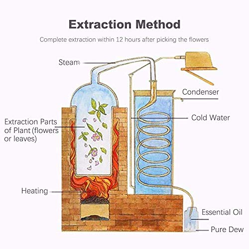 Set de Aceites Esenciales, 6 mejores aceites 100% Natural Puro, Lavanda, Naranja Dulce, Árbol de Té, Eucalipto, Menta, Romero