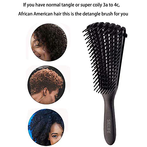 Set de Peine para Champú/Cepillo de Ducha, Cepillo Desenredante Peine de Cepillos para el Cabello Masajeador del cuero Cabelludo Cuidado del Cuero Cabelludo