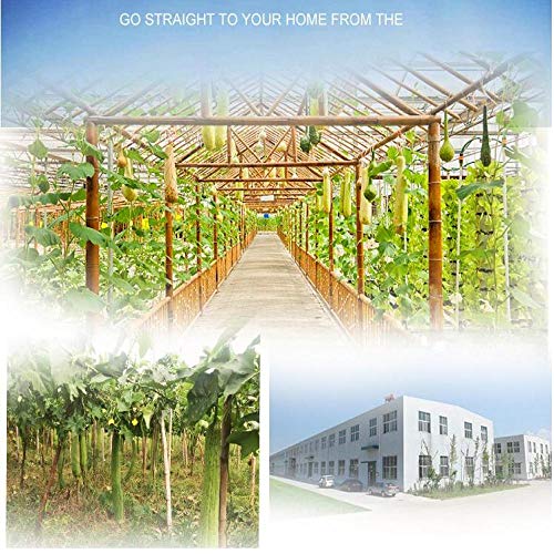 SHUNHUI Loofah Natural con Un Viejo Cepillo De Esponja Esponjoso Y Sin Gluten para Lavar Los Platos, Toalla De Baño De Esponja Vegetal, Flor De Baño