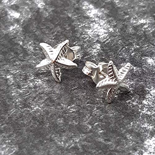 Sicuore Pendientes Estrella De Mar Para Mujer Niña - Plata De Ley 925 Incluye Estuche Para Regalo
