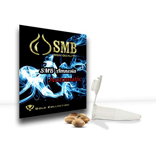 Smb Seeds Amensia Silver. Semillas Feminizadas Autofloreciente. Pack de 3 semillas + regalo sorpresa.