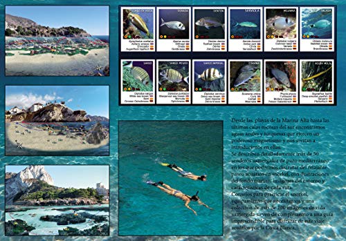 Snorkel en la Costa Blanca