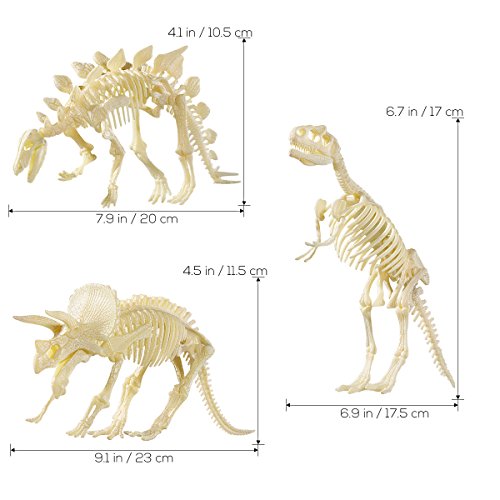 STOBOK 3 Unids 4D Dinosaurio De Madera Rompecabezas Dinosaurio Esqueleto Figura Esqueleto Fósil Juguetes DIY para Niños