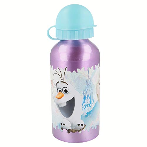 Stor Botella Aluminio 400 ML | Frozen Floral