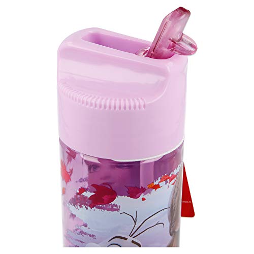 Stor Botella HIDRO TRITAN 540 ML | Frozen 2