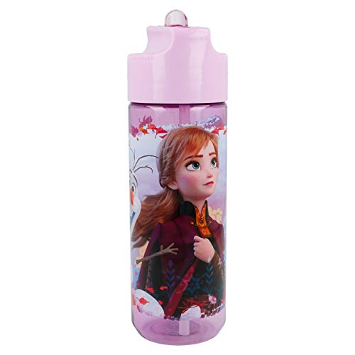 Stor Botella HIDRO TRITAN 540 ML | Frozen 2