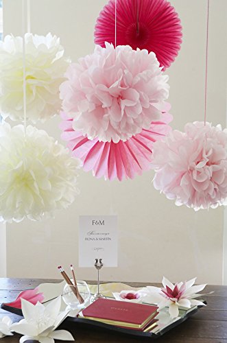 Sunbeauty 20 Piezas Pom Poms Bola de Papel Decoraciones de Baby Shower Boda Fiesta Santa Semana (Mixto de Color Claro)