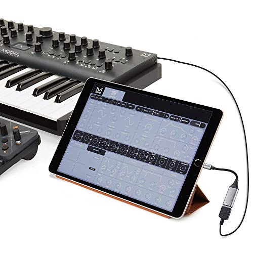 Sunshot - Adaptador USB Hembra OTG para iPhone/iPad Compatible con iOS 13 y Tarde Compatible con cámara, Unidad Flash, Teclado Lector de Tarjetas y más (Gris)