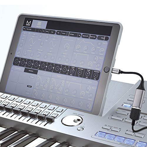 Sunshot - Adaptador USB Hembra OTG para iPhone/iPad Compatible con iOS 13 y Tarde Compatible con cámara, Unidad Flash, Teclado Lector de Tarjetas y más (Gris)