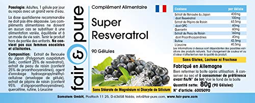 Super Resveratrol 100mg - Trans resveratrol + OPC + Quercetina + Rutina - Vegano - Alta pureza - 90 Cápsulas