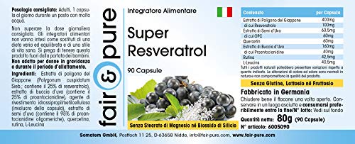 Super Resveratrol 100mg - Trans resveratrol + OPC + Quercetina + Rutina - Vegano - Alta pureza - 90 Cápsulas