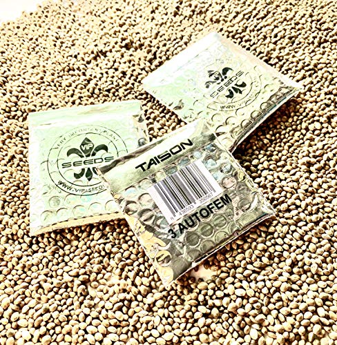 TAISON Paquete 3 semillas AUTOFLORECENTES