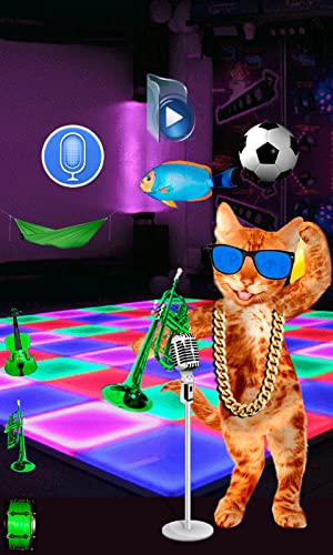 Talking and Singing Cat