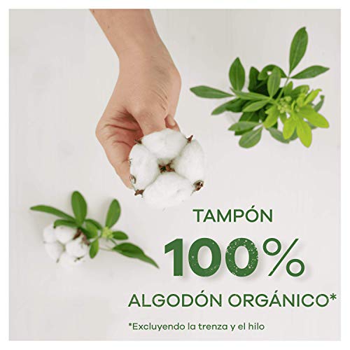 Tampax Cotton Protection regular con aplicador 16 X, tampones de algodón orgánico de Tampax