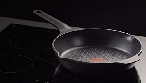 Tefal Aroma - Sartén de aluminio fundido 24 cm recubrimiento titanio antiadherente y thermosport, aptas para todo tipo de cocinas, base gruesa adecuada para inducción, asas de apoyo (Reacondicionado)