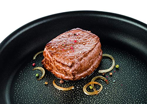 Tefal Expertise - Sartén de aluminio de 32 cm, antiadherente con extra de titanio, aptas para todo tipo de cocinas incluido inducción