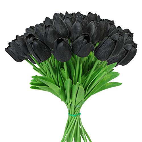 Comprar tulipan negro flor ? 【 desde  € 】 | Estarguapas
