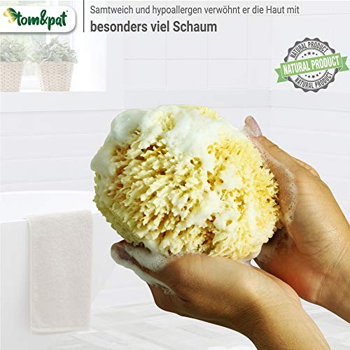 tom&pat® Esponja Natural Grass – Esponja de baño del mar Mediterráneo – Primera Calidad (15-16 cm)